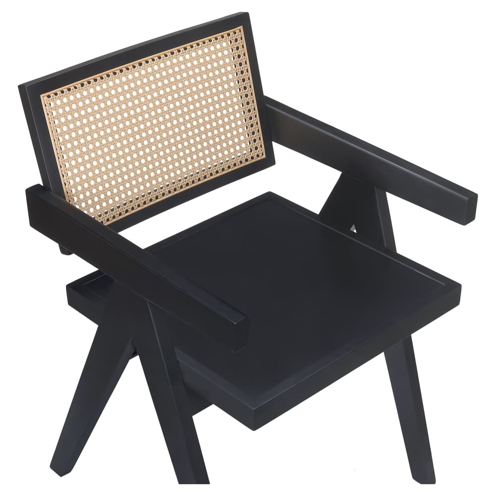 Gaia Cane Armchair