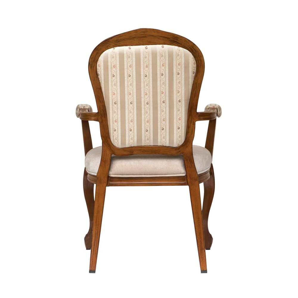 Cecile Lounge Style Senior Living Aluminum Armchair